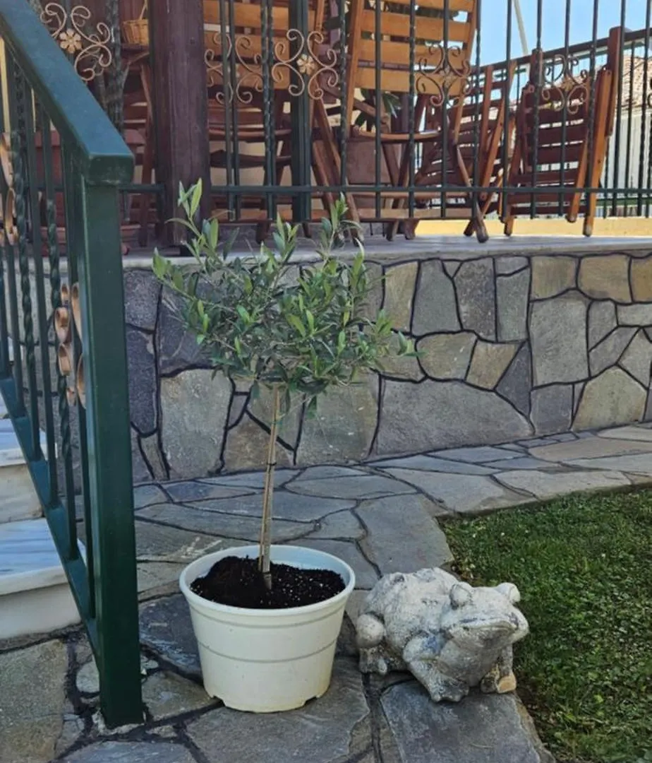 Holiday home Ryan'S House Villa Vergia